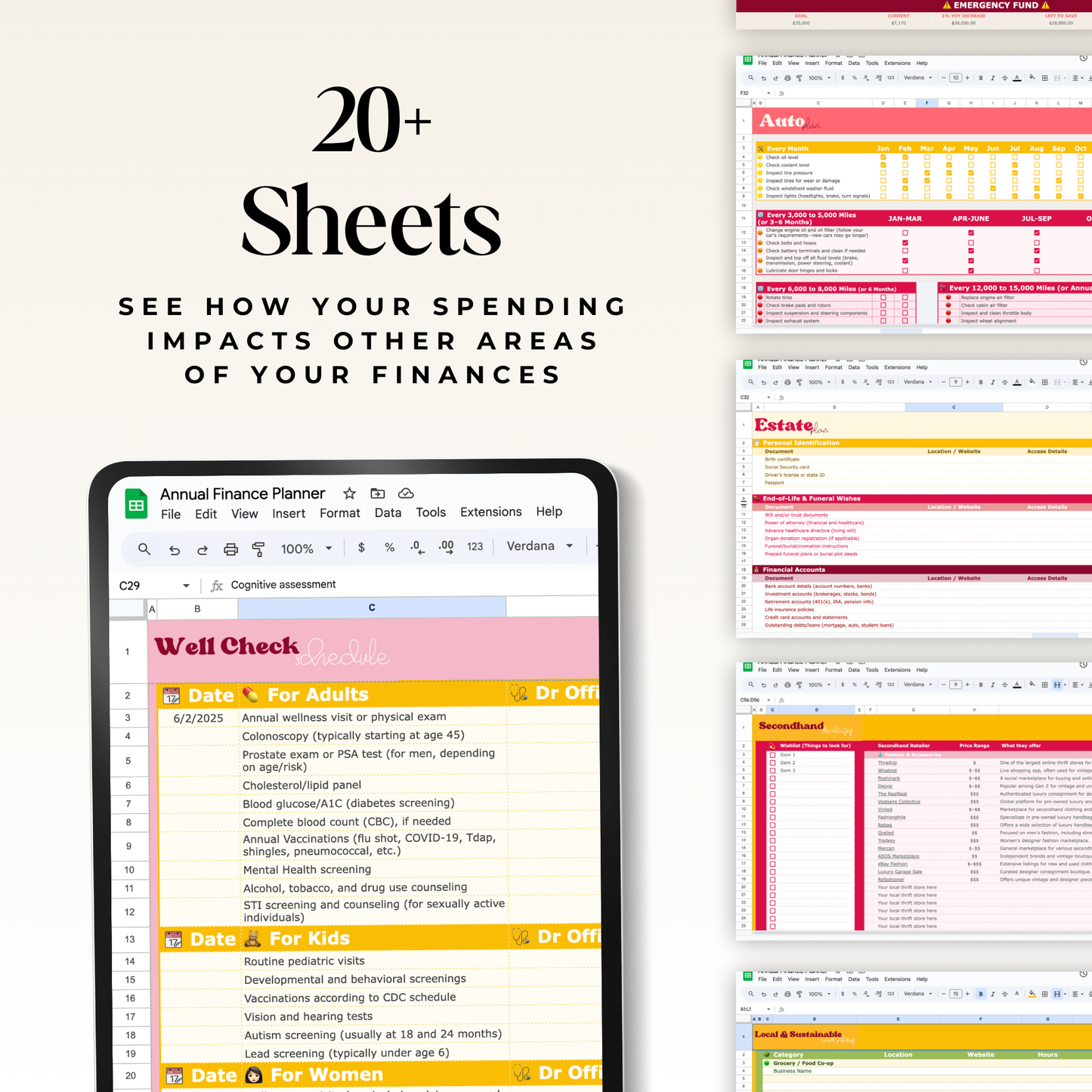 Annual Finance Planner - Your All-in-One Life & Money Organization System!